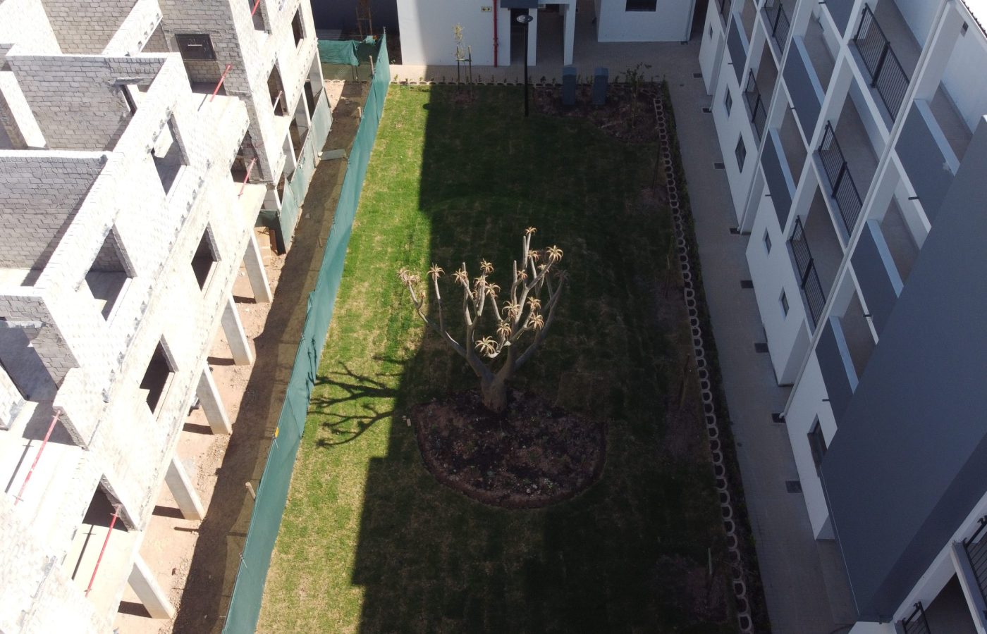 DCIM107MEDIADJI_0407.JPG